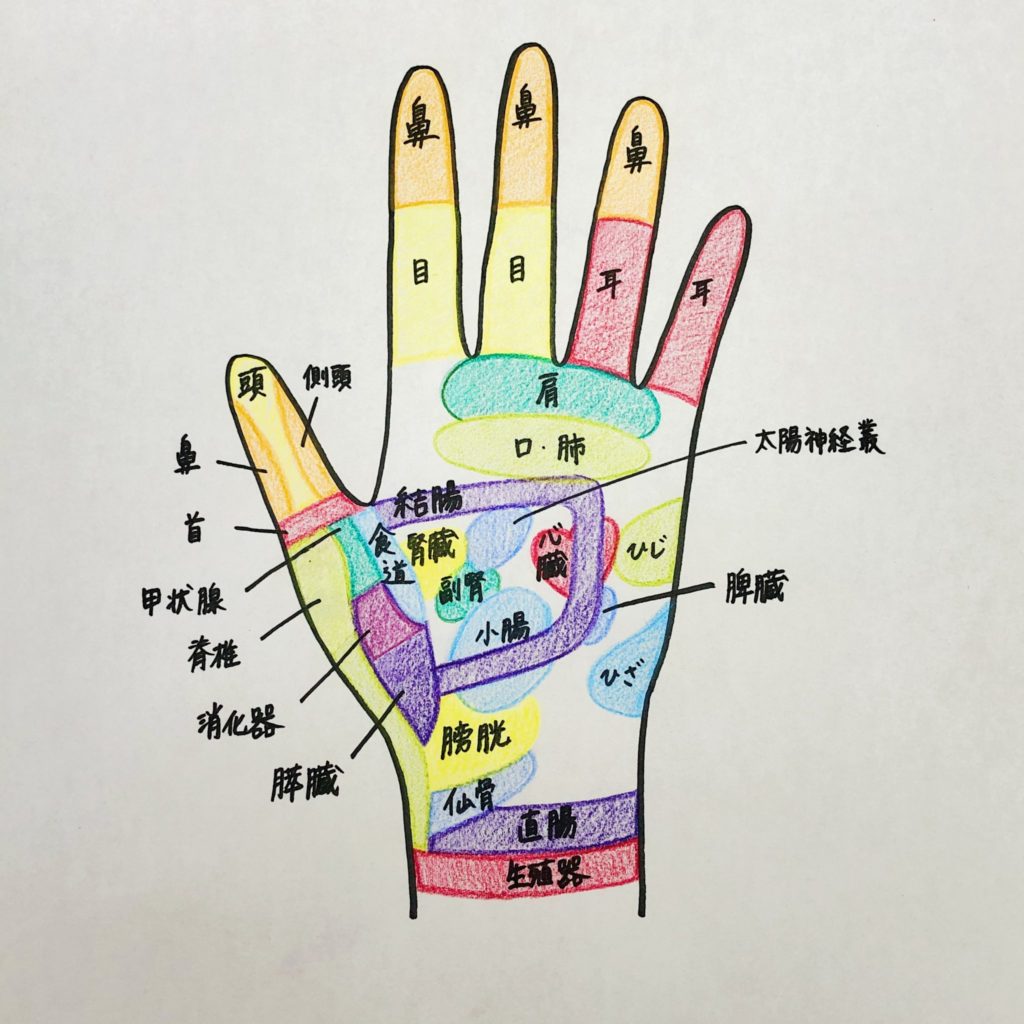 手の反射区とは 図や効果 ハンドリフレのやり方も詳しく解説 Melby メルビー